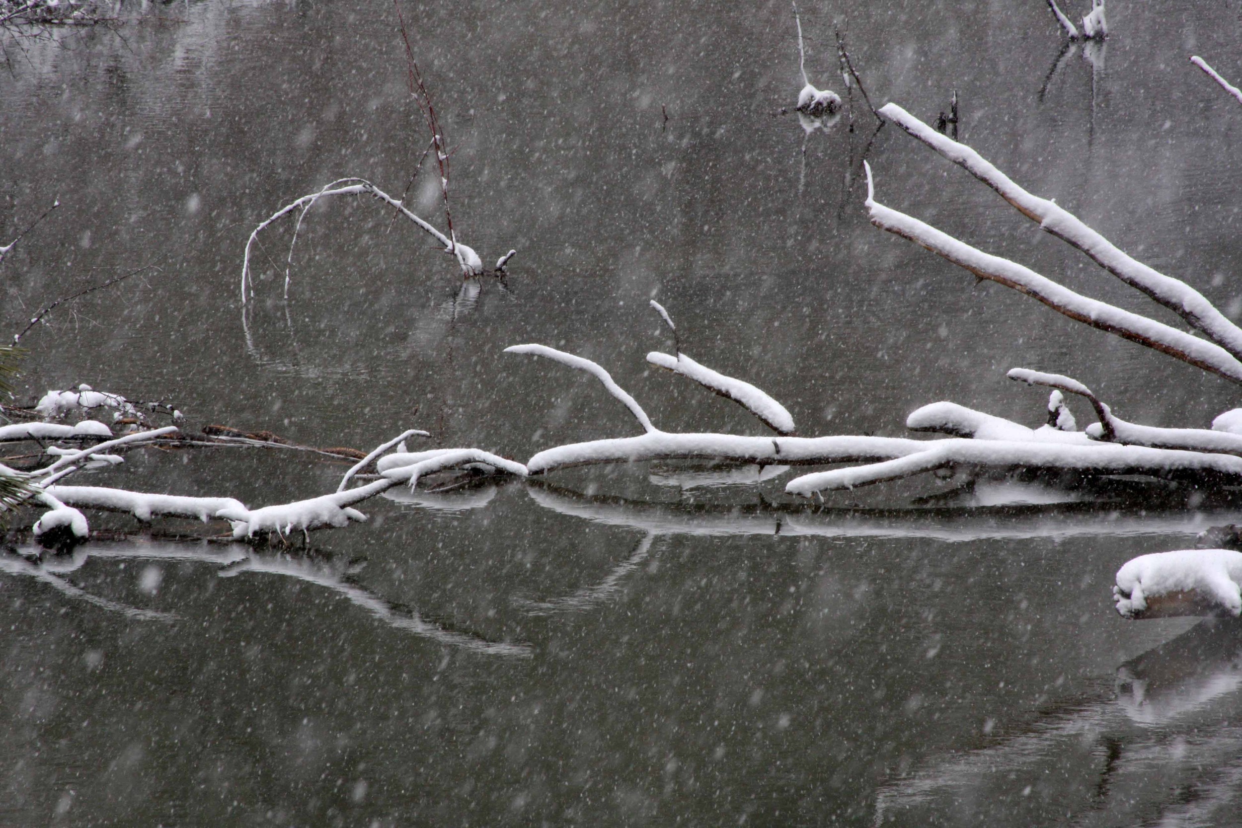 Idaho Winters