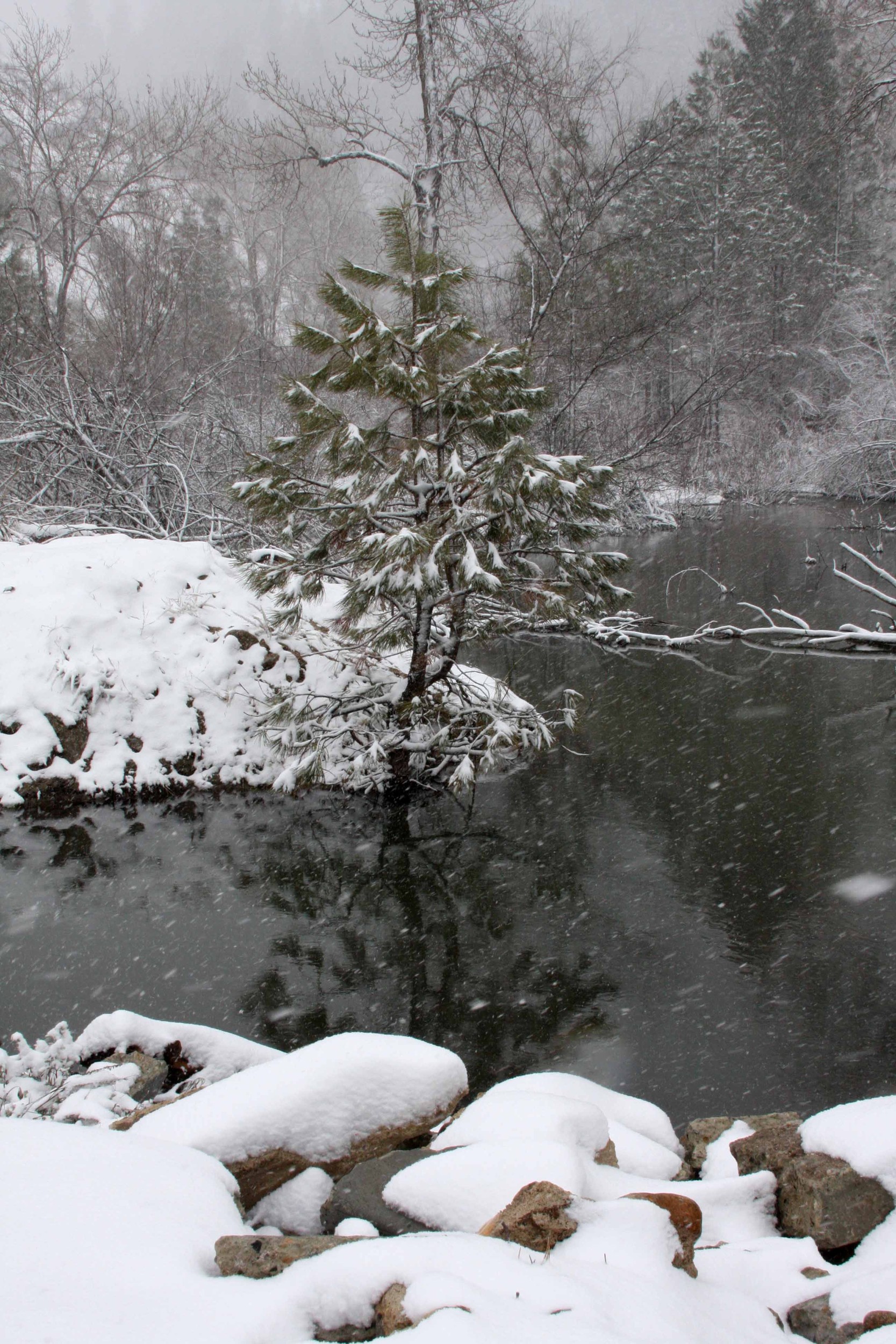 Idaho Winters