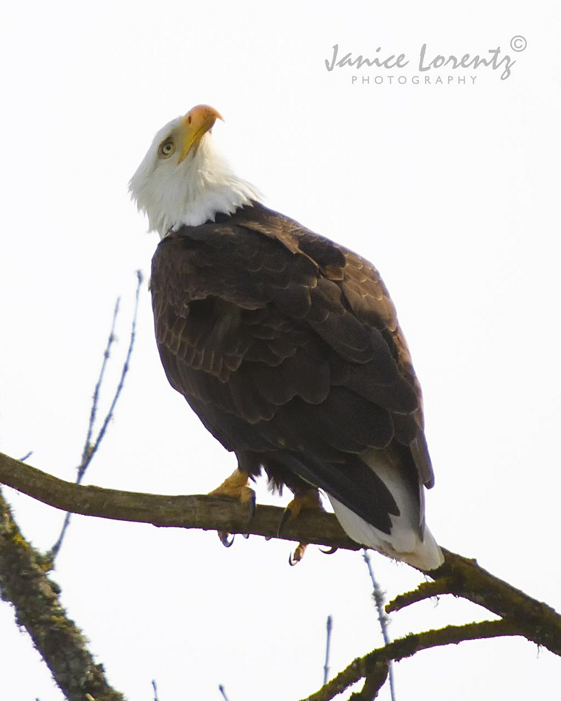 I'm watching You!