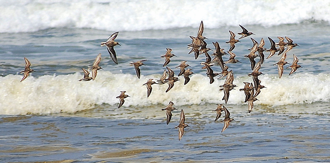 In Flight