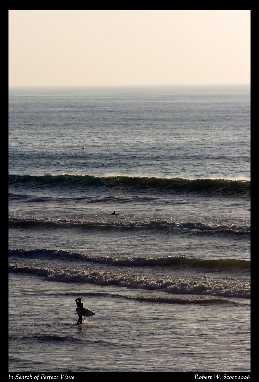 In Search of the Perfect Wave