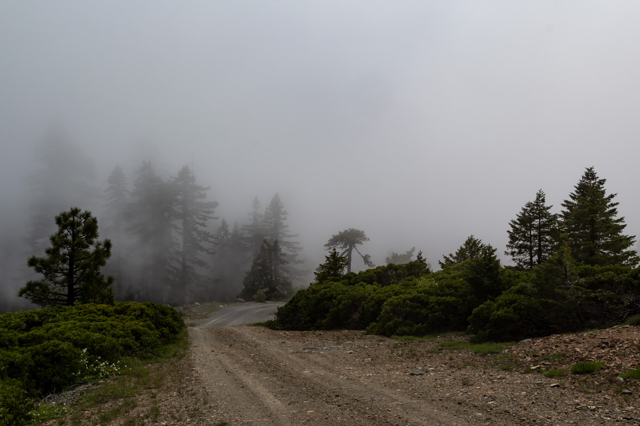 In the clouds