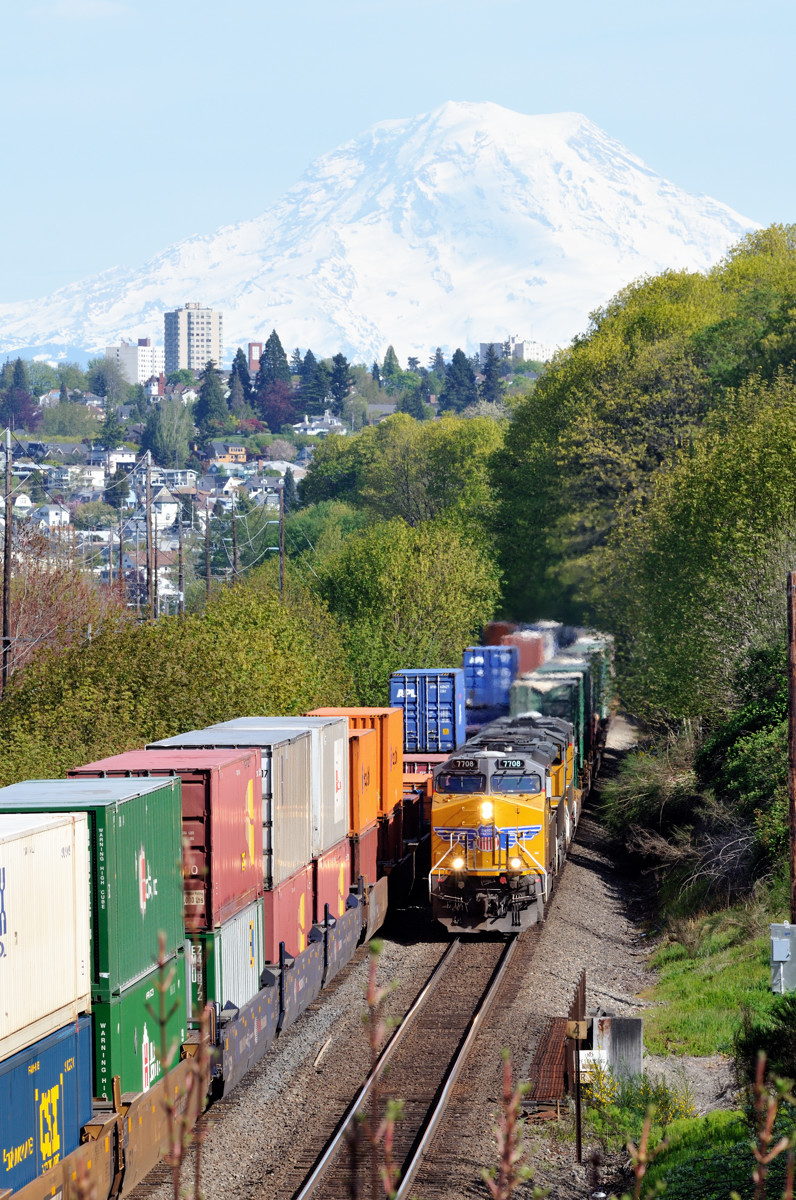 In the shadow of Mt Rainier