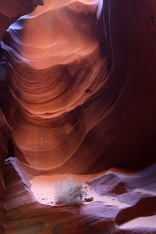 Into the light