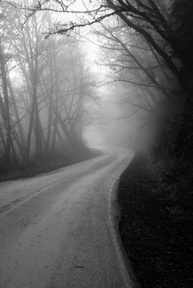 Into the mist