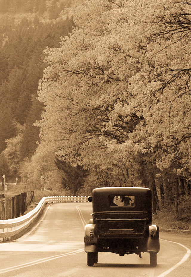 Into the Past
