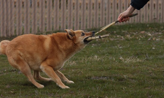 Inventing Her Own Toys