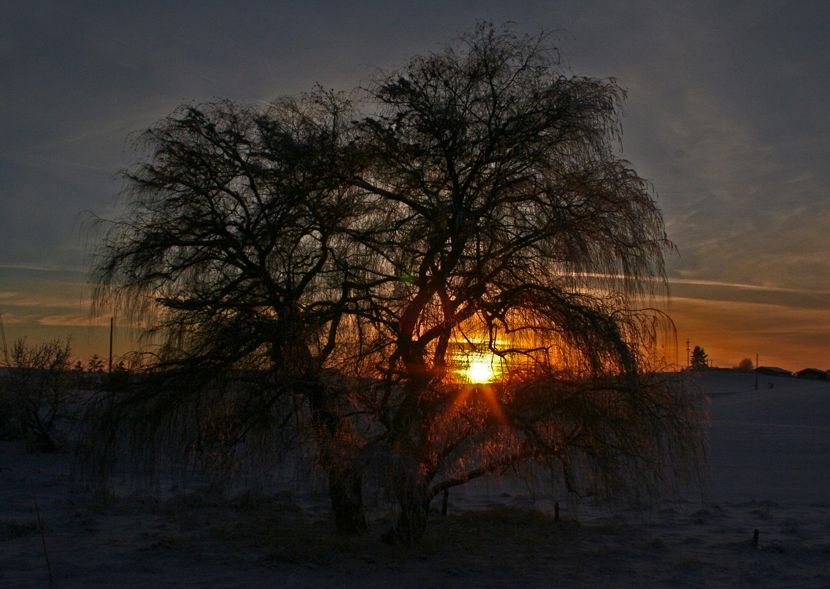 January 1, 2011