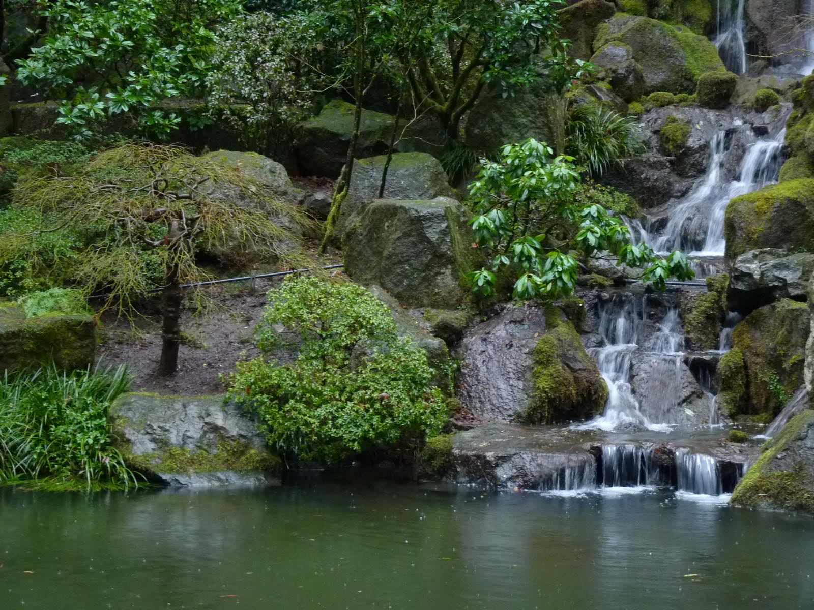 Japanese Gardens