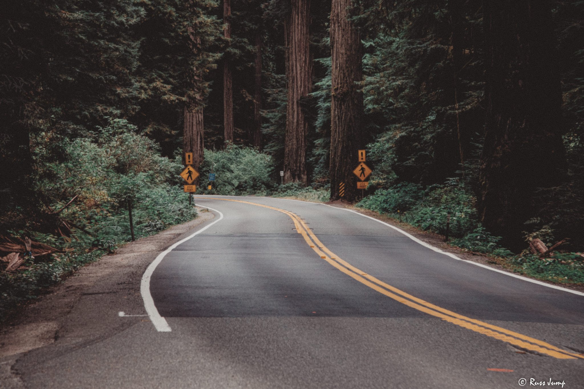 Jedediah Smith redwoods Crescent City ,Ca