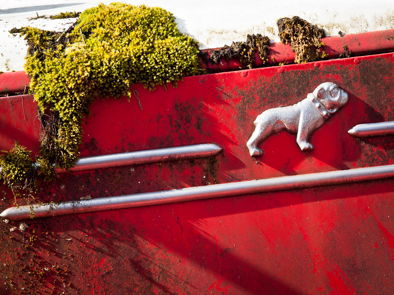 Junkyard Dawg