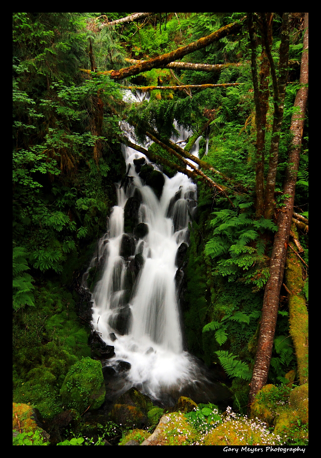 Just a waterfall