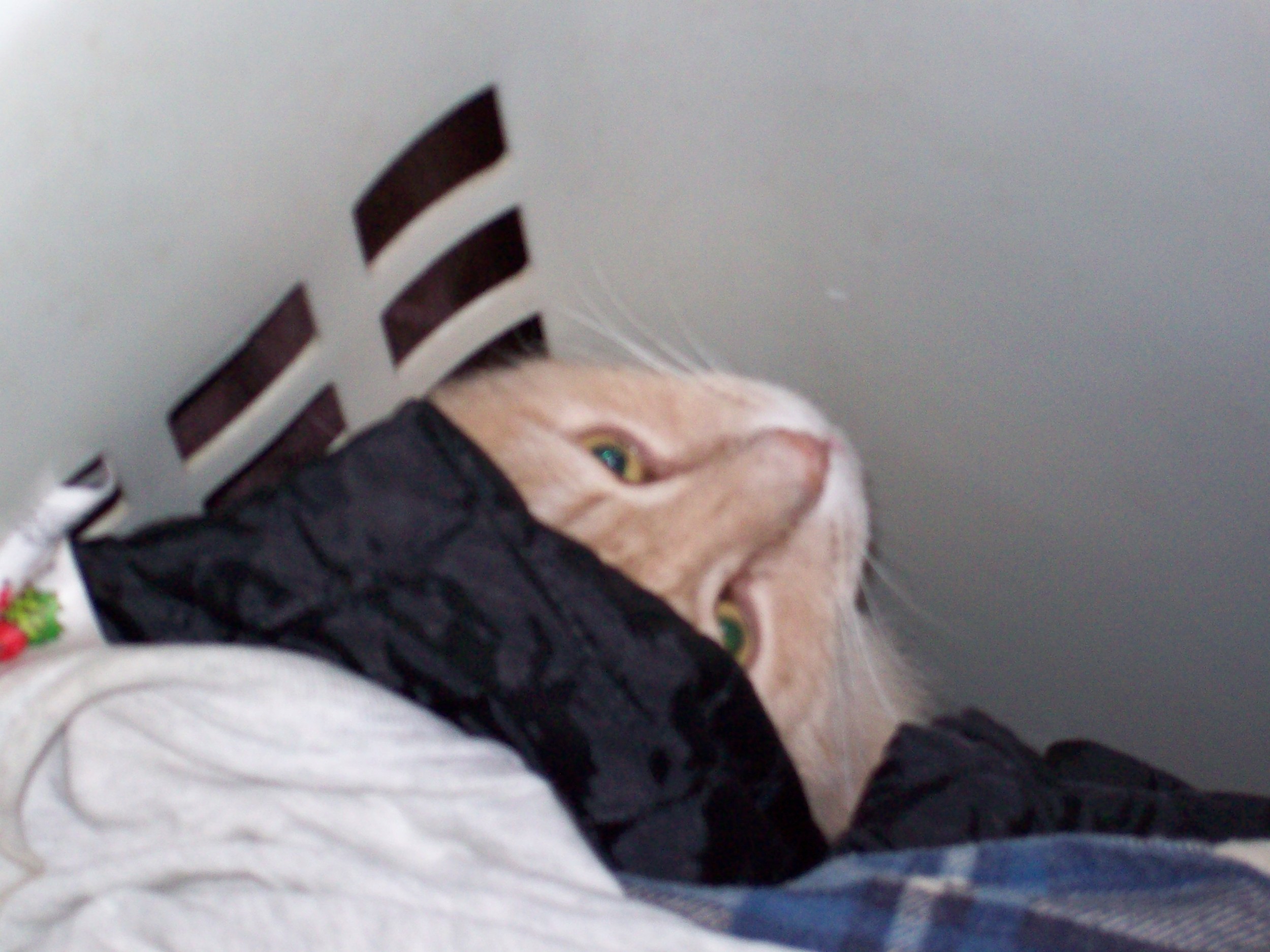 Just thought I'd help with the laundry mom