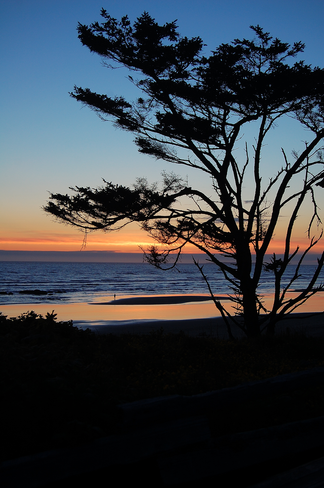 Kalaloch Beach
