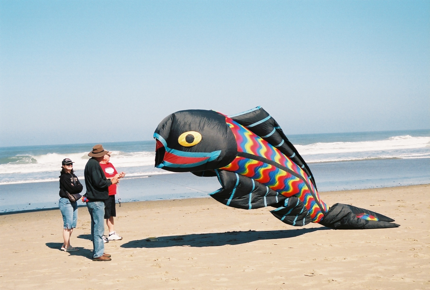 Kite Festival &amp; More