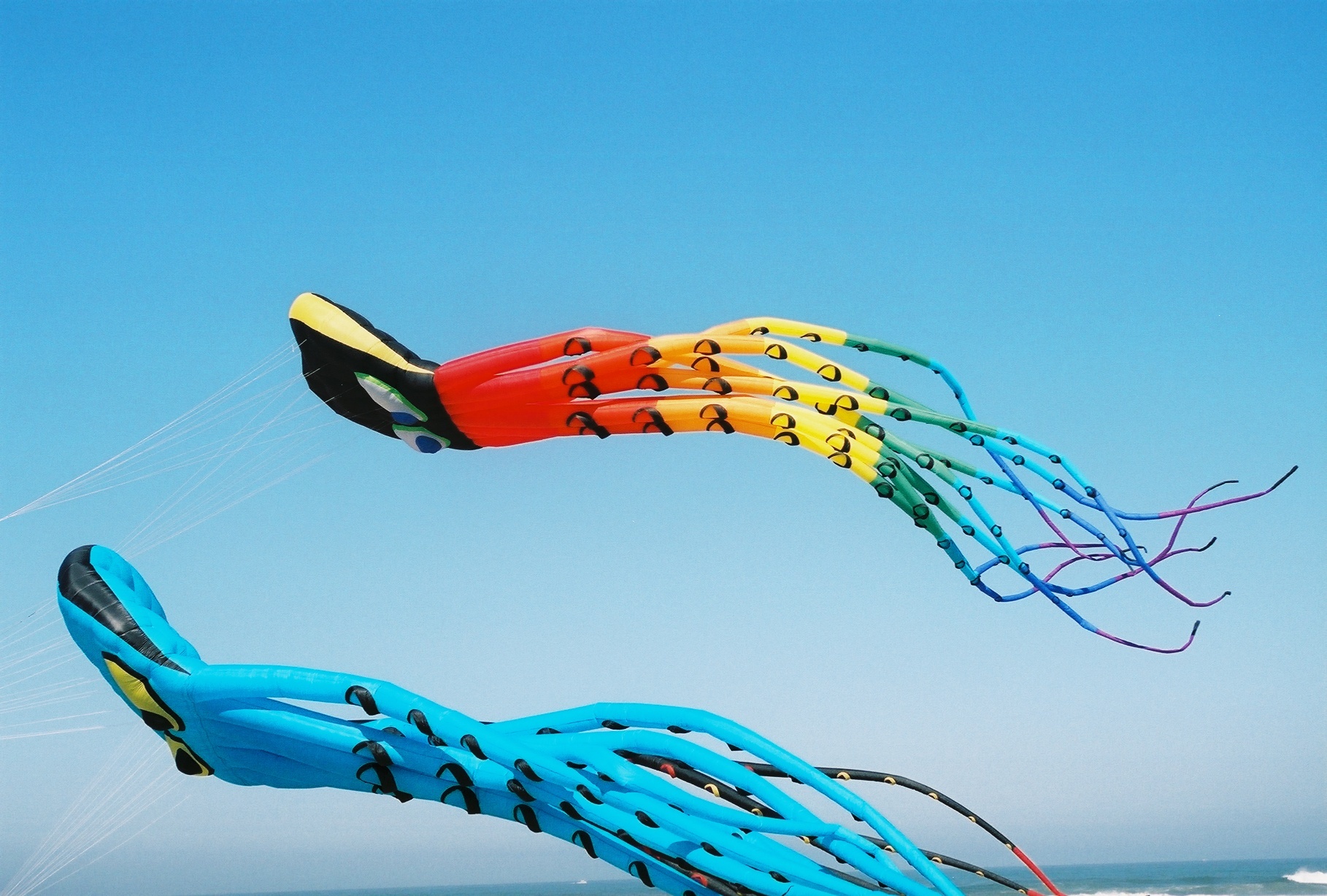 Kite Festival and More
