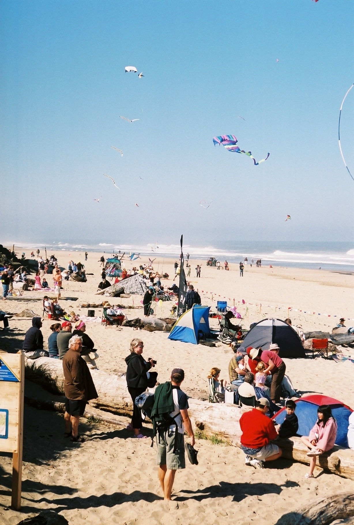 Kite Festival and More
