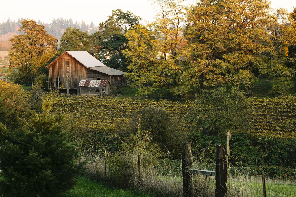 Lake Oswego, Oregon. You can still find a little bit of Country.