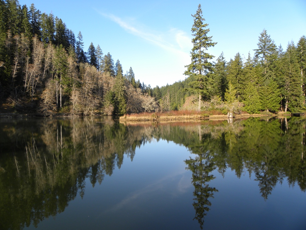 Lake Sylvia