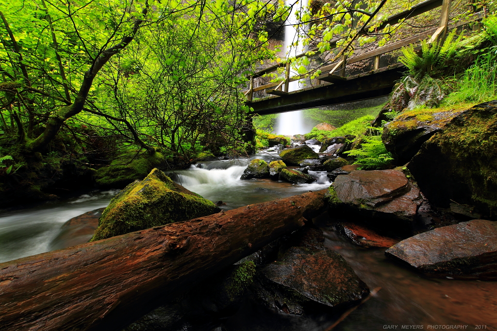 Latourell Falls