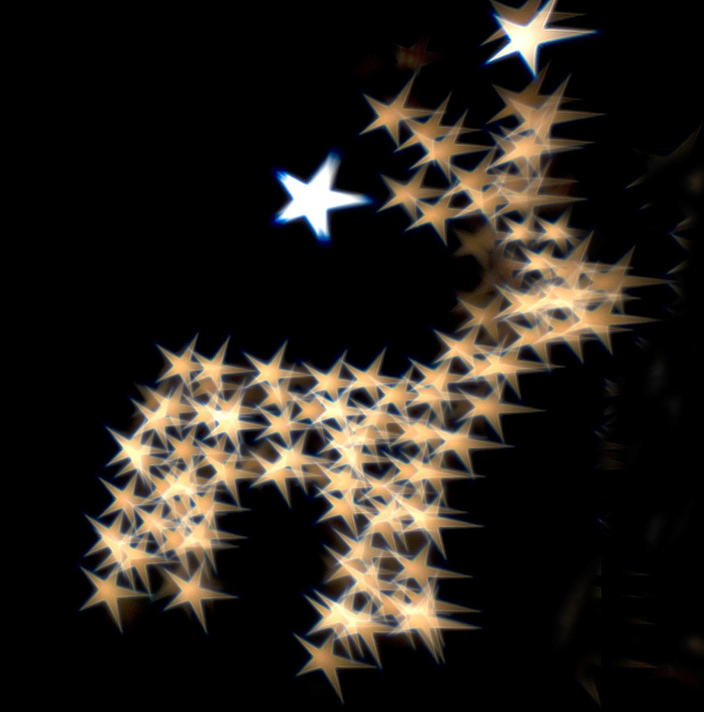Lensbaby Reindeer