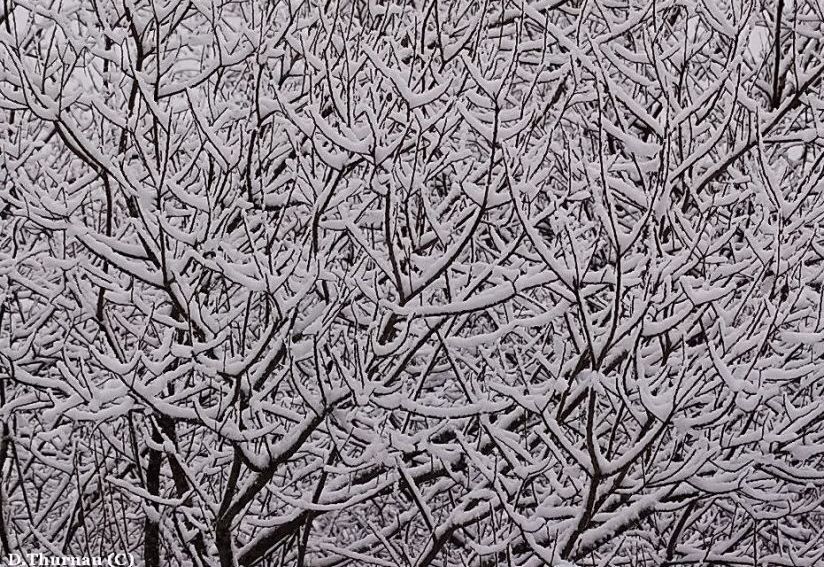 let it snow