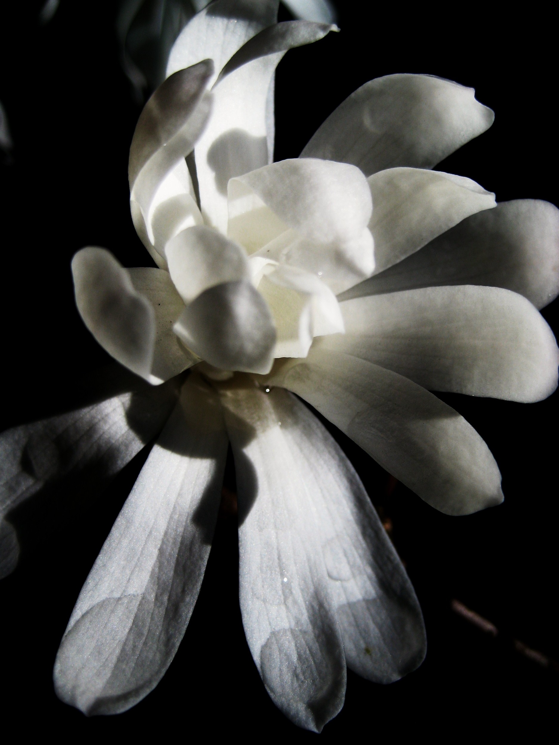 light