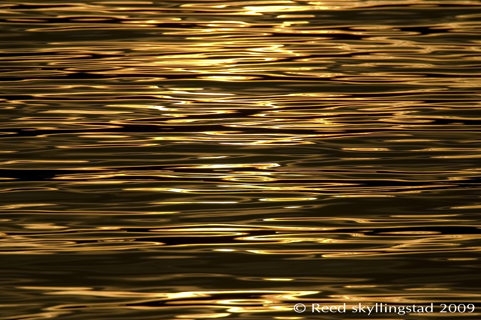 Liquid Gold