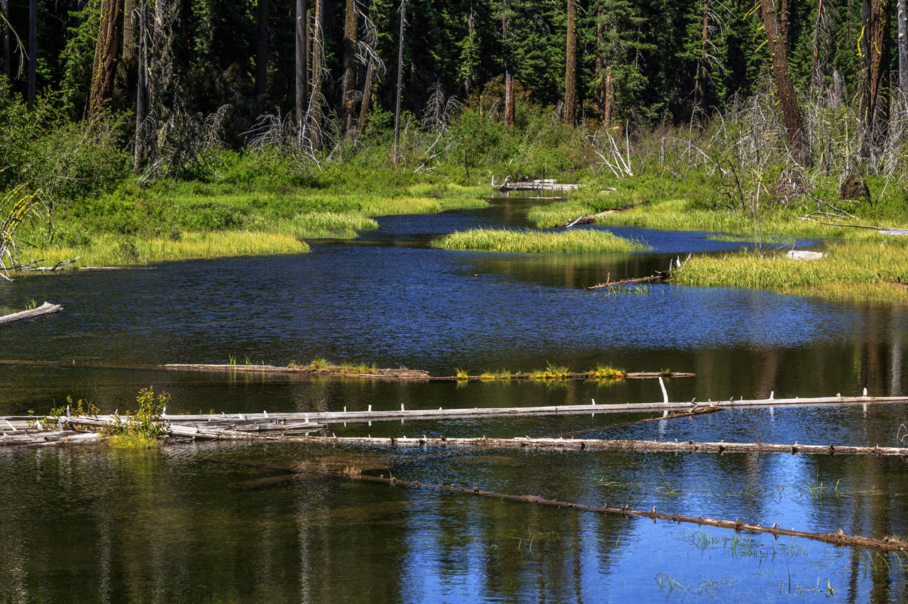 Little Butte Creek