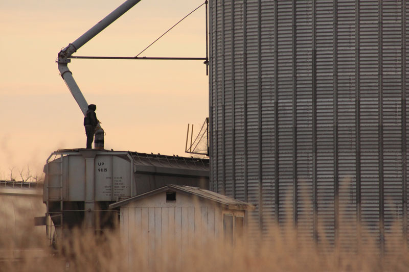 Loading_Grain