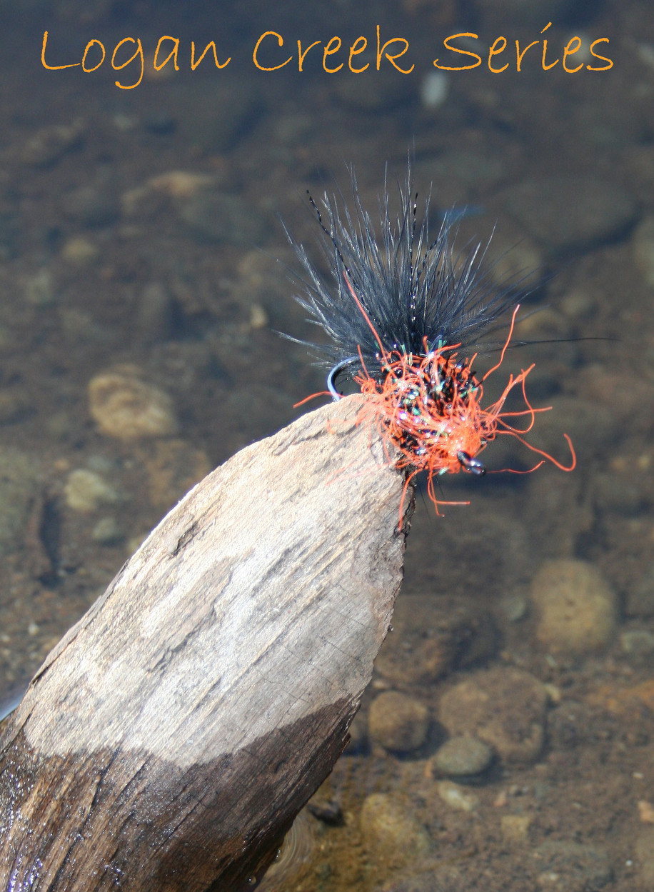 Logan Creek Series