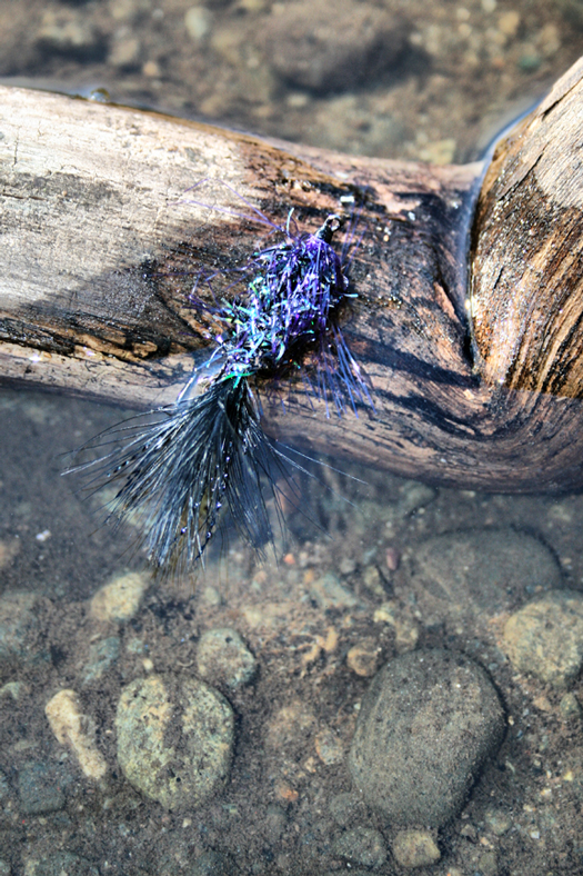 Logan Creek Series