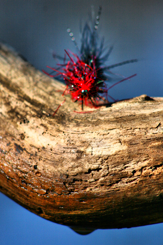 Logan Creek Series
