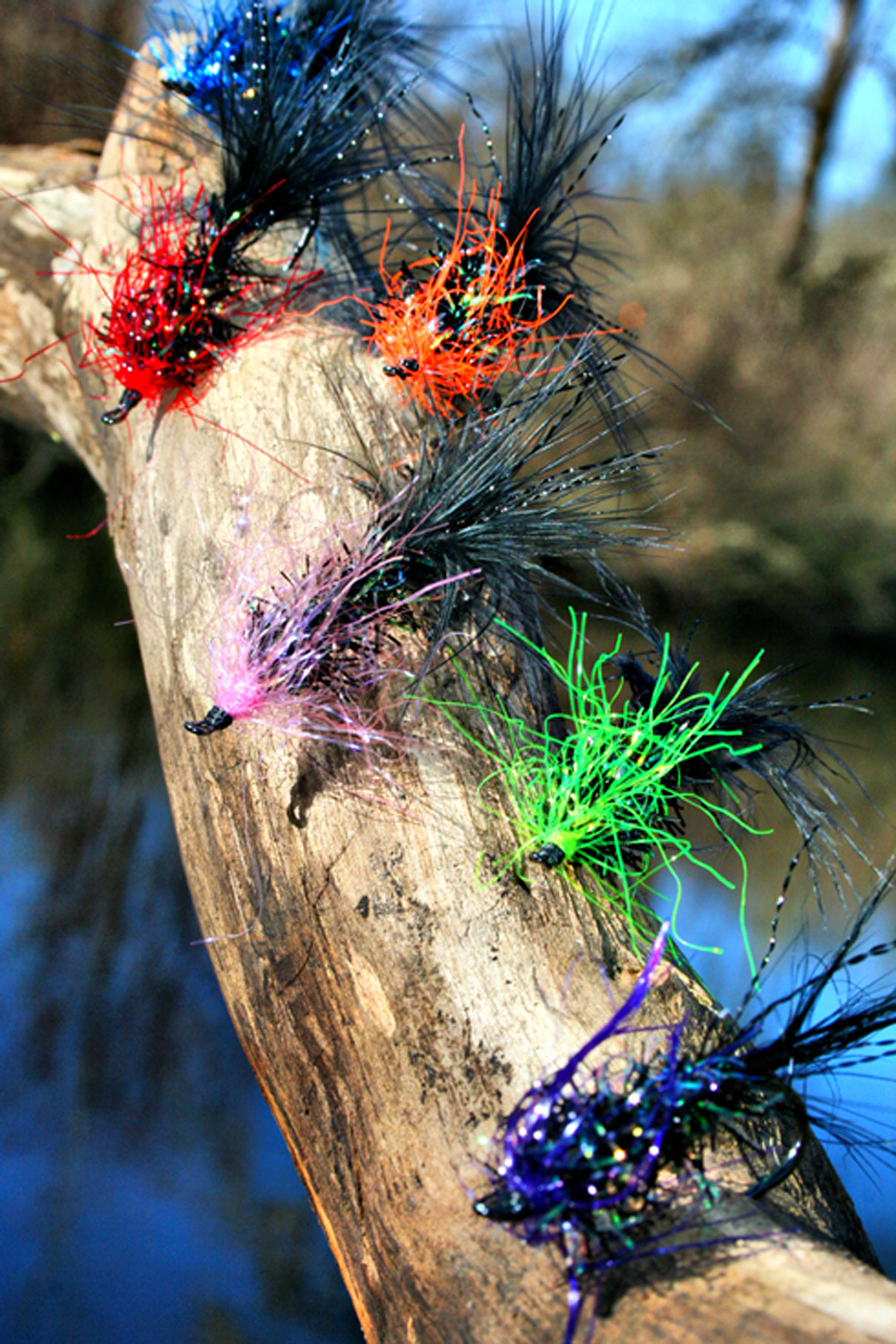 Logan Creek Series