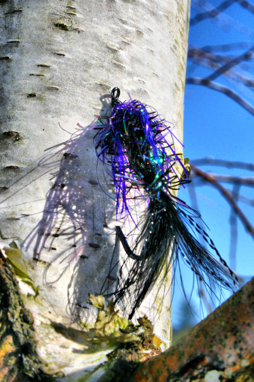 Logan Creek Series