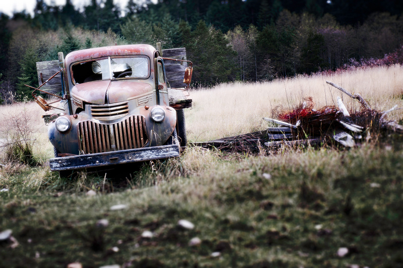 Lonely On Lopez Island