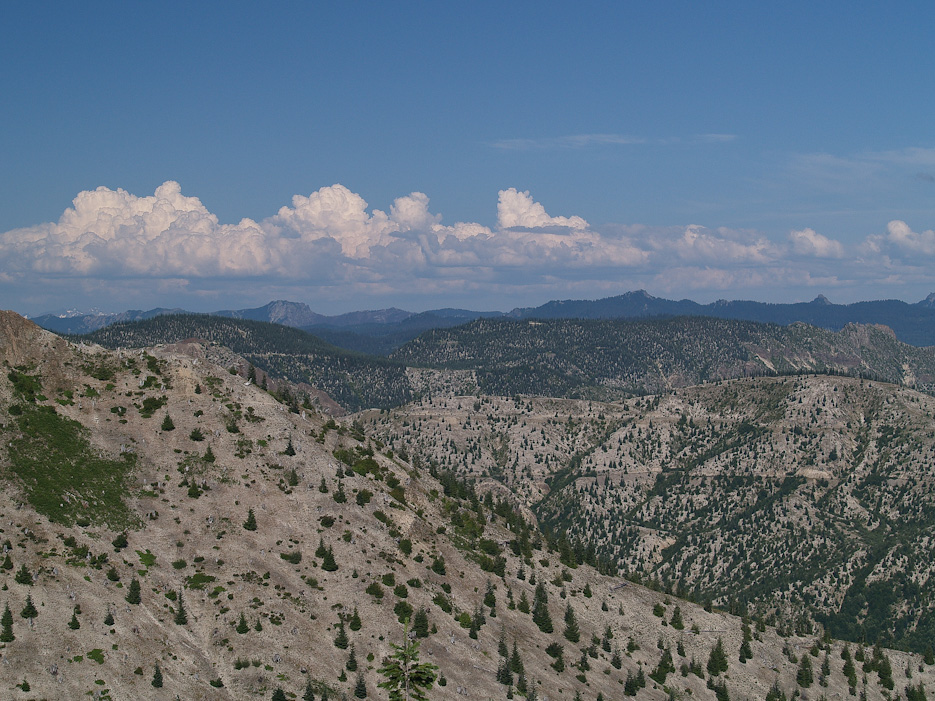 Looking East
