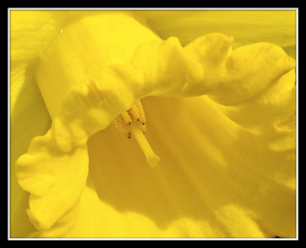 Looking for spring and I found it.