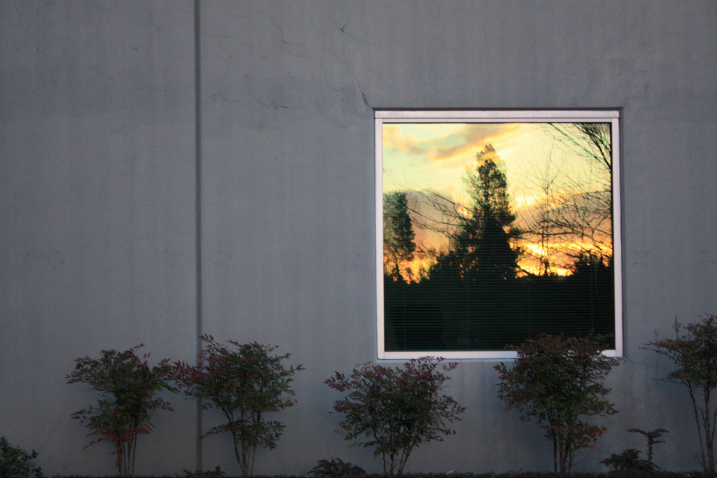 Looking  Through The Looking Glass
