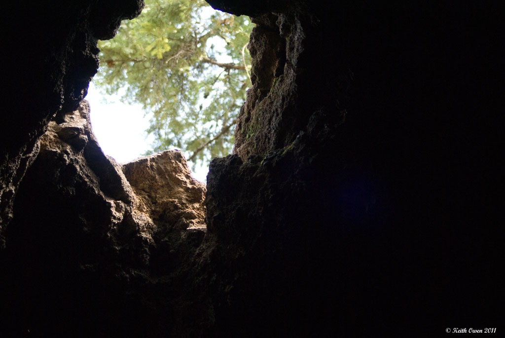 Looking Up