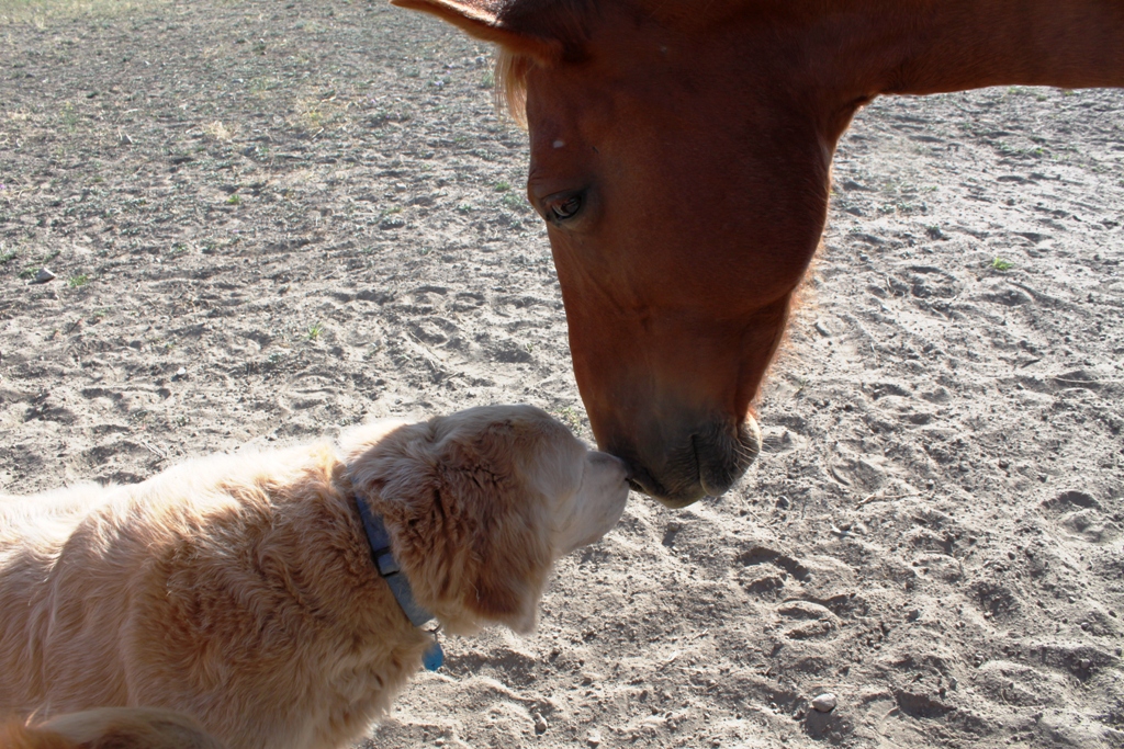 Love at First Site