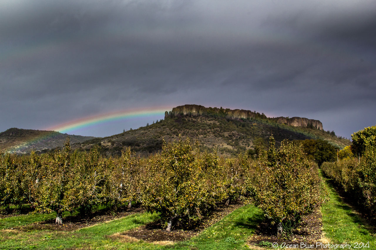 Lower Table Rock Harry & David/Bear Creek Orchards kirkland Rd