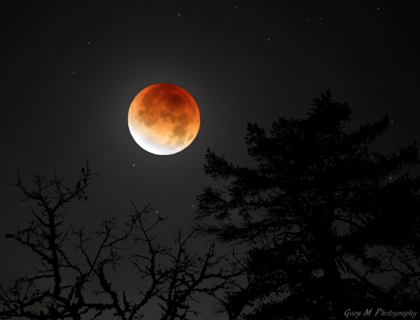 Lunar Eclipse 2011