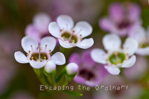 MG_4673-Edit