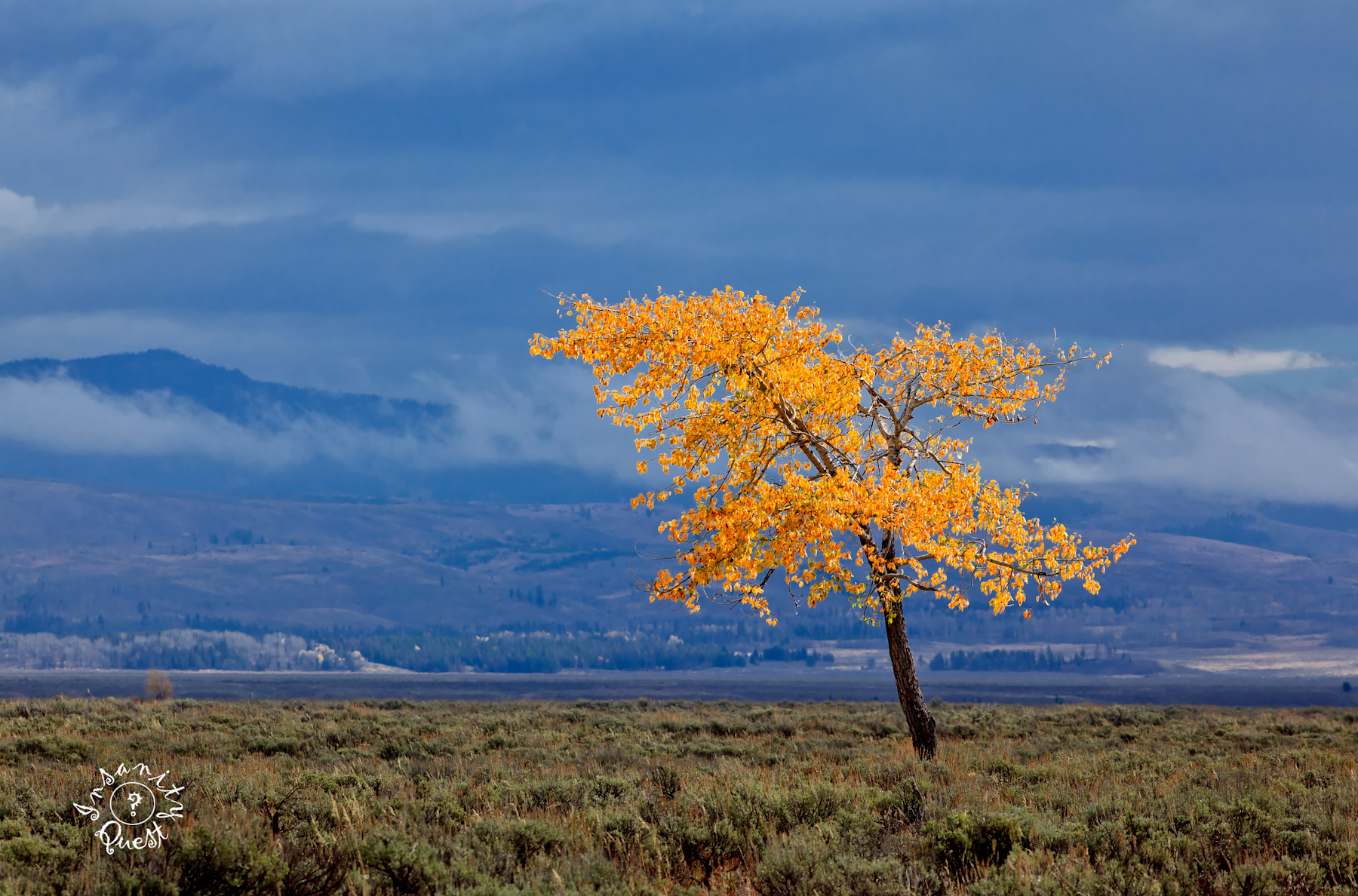 MG_9076-Edit
