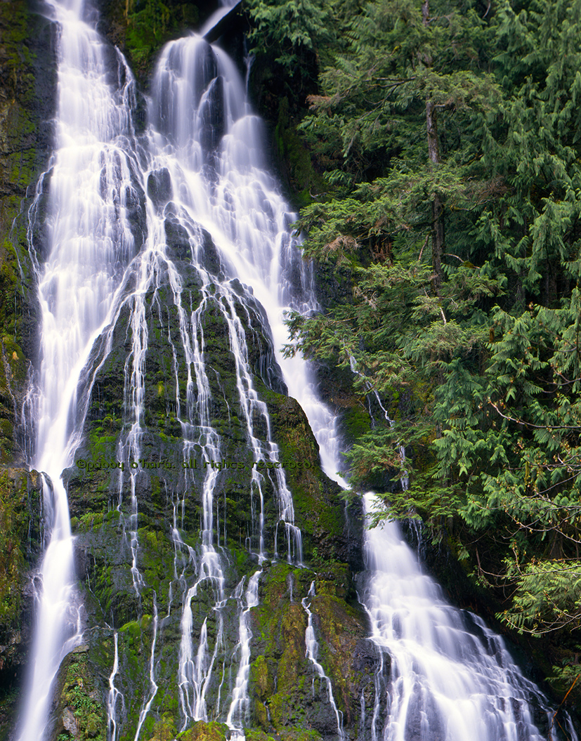 Misc Fall #2 (from 4x5)