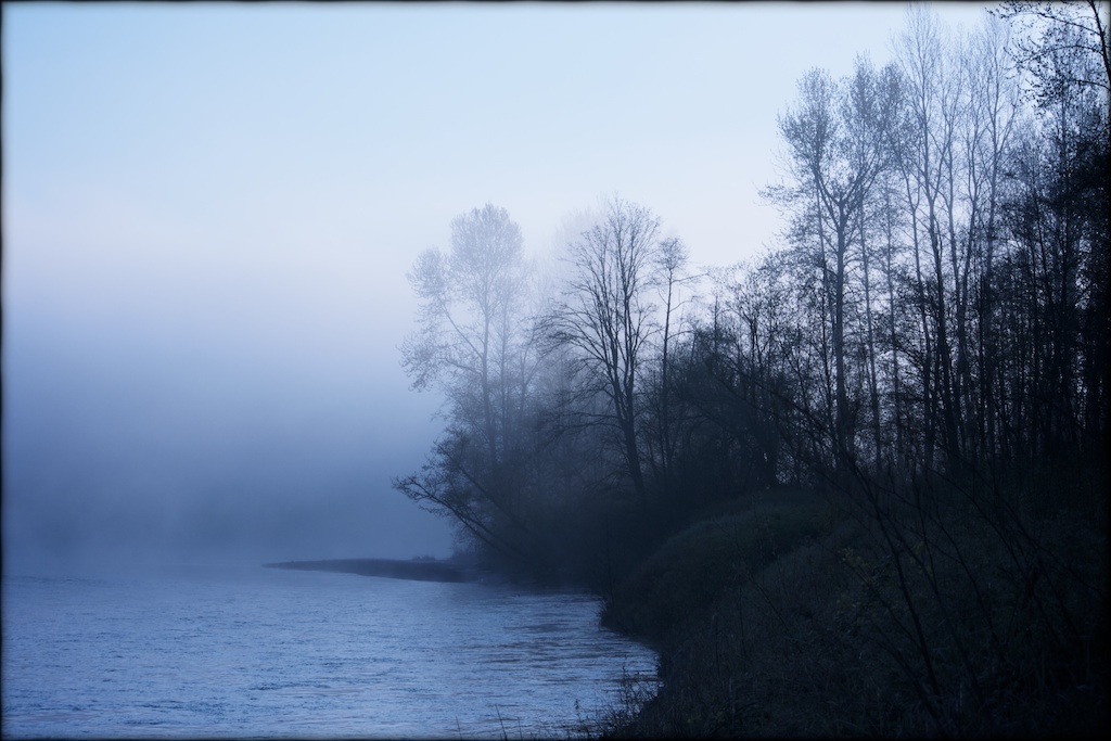 Misty Stilly