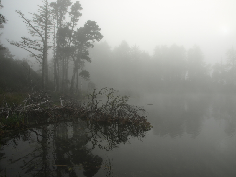Misty