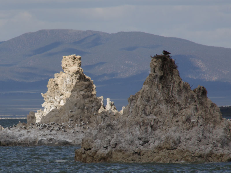 Mono Lake