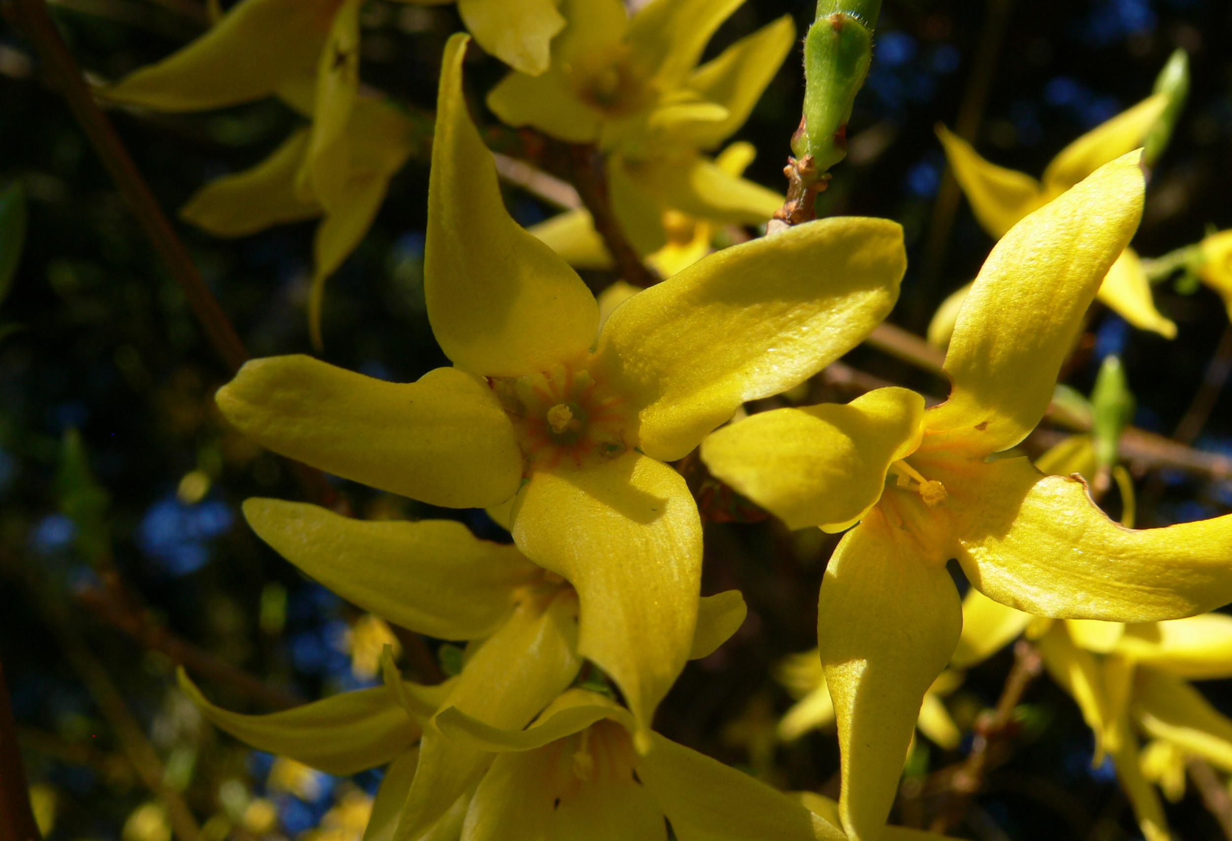 More signs of spring